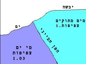 הפן הבייני -אופק עולמי